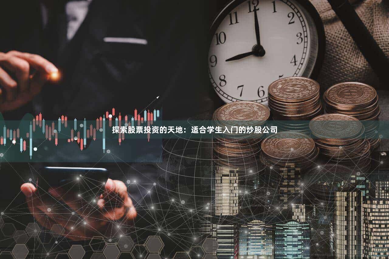探索股票投资的天地：适合学生入门的炒股公司