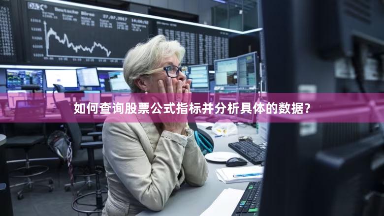 如何查询股票公式指标并分析具体的数据？