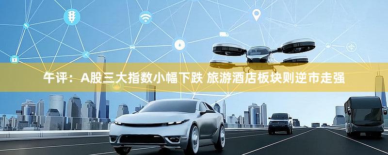 午评：A股三大指数小幅下跌 旅游酒店板块则逆市走强