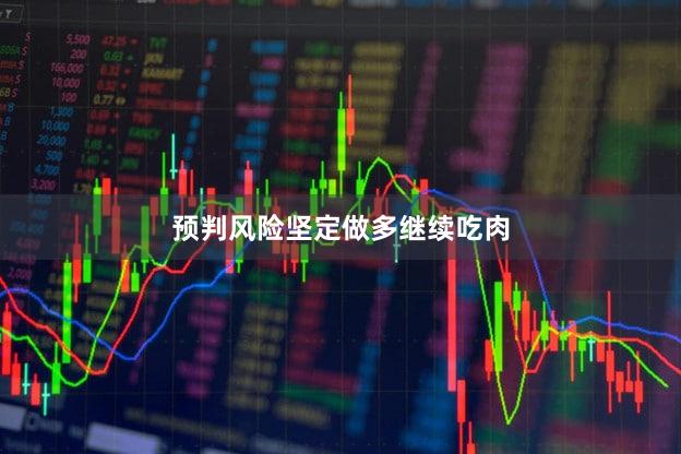 预判风险坚定做多继续吃肉