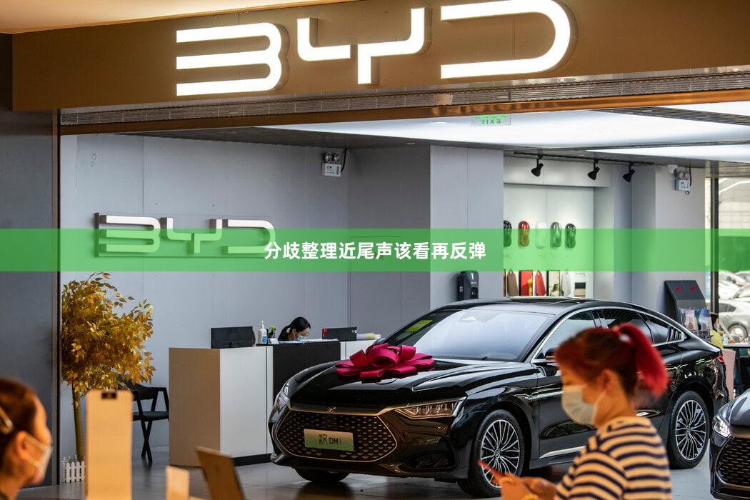 分歧整理近尾声该看再反弹
