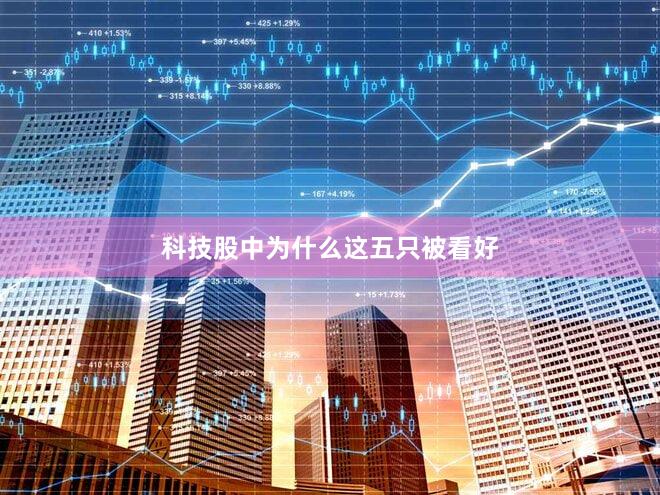 科技股中为什么这五只被看好