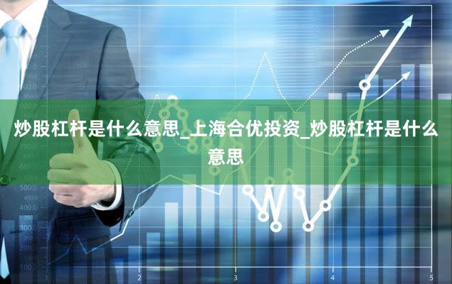 炒股杠杆是什么意思_上海合优投资_炒股杠杆是什么意思