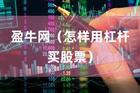 盈牛网（怎样用杠杆买股票）