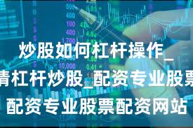 炒股如何杠杆操作_怎么申请杠杆炒股_配资专业股票配资网站