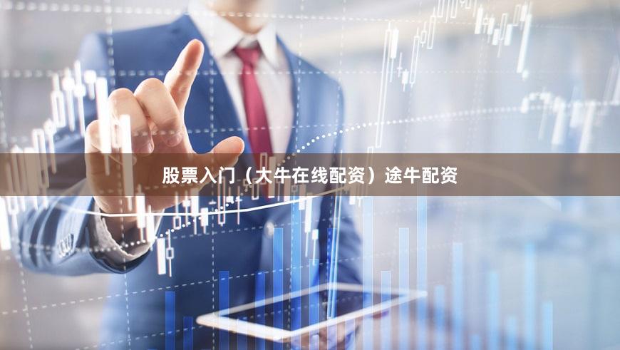 股票入门（大牛在线配资）途牛配资