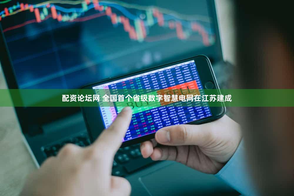 配资论坛网 全国首个省级数字智慧电网在江苏建成