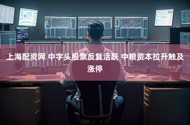 上海配资网 中字头股票反复活跃 中粮资本拉升触及涨停