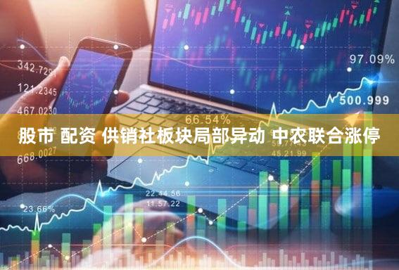 股市 配资 供销社板块局部异动 中农联合涨停