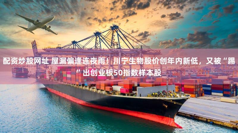 配资炒股网址 屋漏偏逢连夜雨!川宁生物股价创年内新低,又被“踢”出创业板50指数样本股
