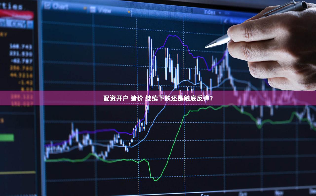 配资开户 猪价 继续下跌还是触底反弹?