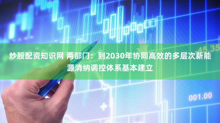 炒股配资知识网 两部门：到2030年协同高效的多层次新能源消纳调控体系基本建立