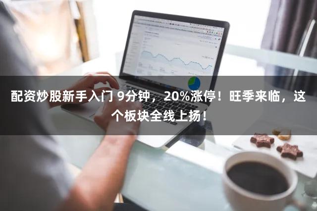 配资炒股新手入门 9分钟，20%涨停！旺季来临，这个板块全线上扬！