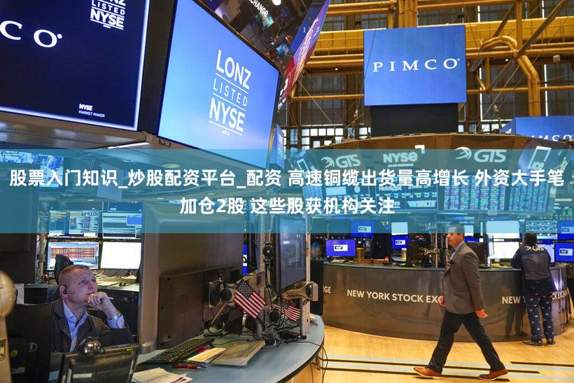 股票入门知识_炒股配资平台_配资 高速铜缆出货量高增长 外资大手笔加仓2股 这些股获机构关注